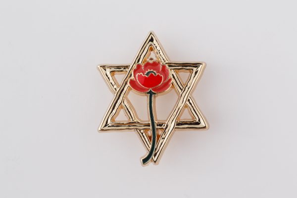 סיכת "עם הנצח"
